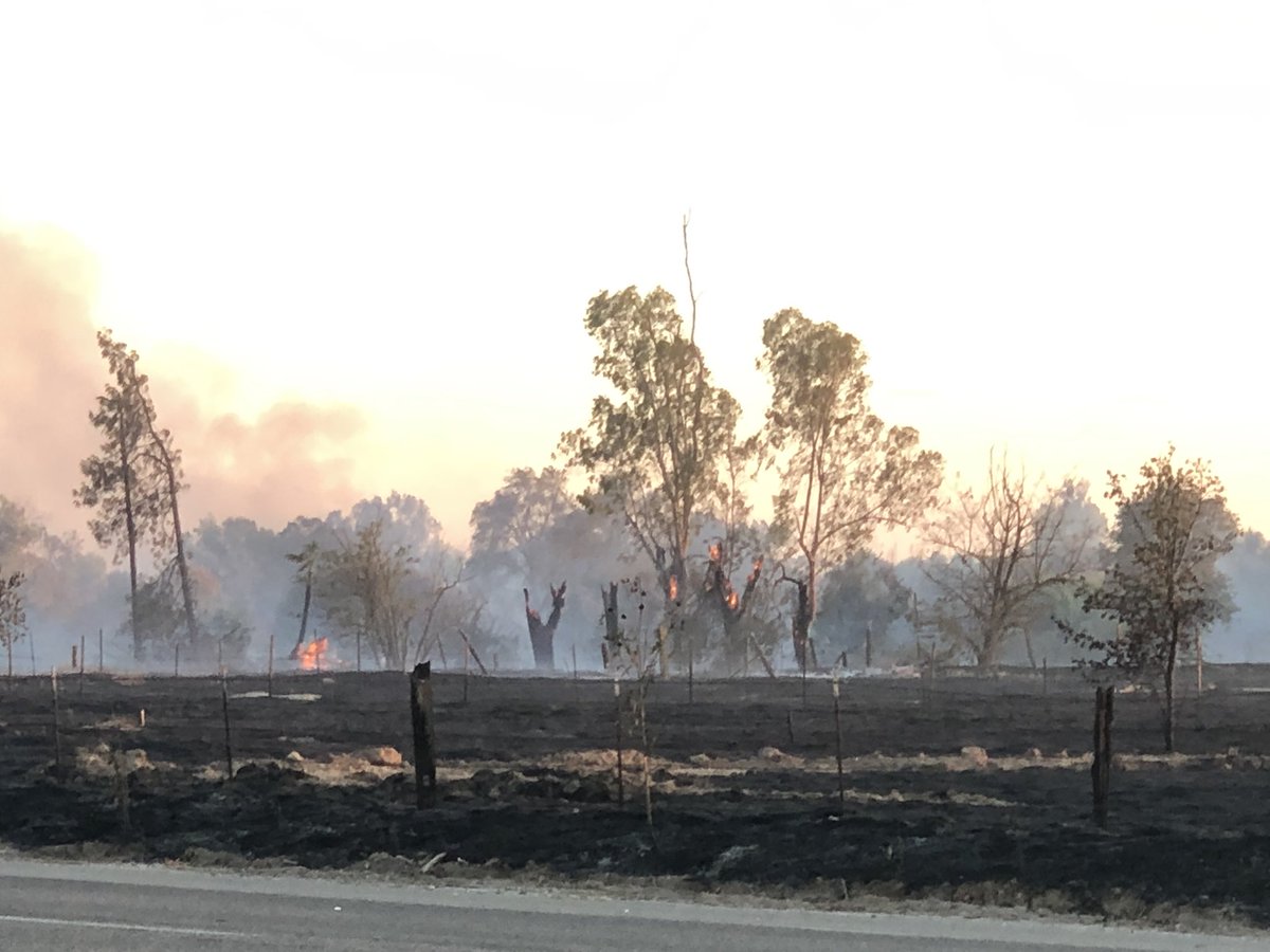 Gilbert Magallon tweet media