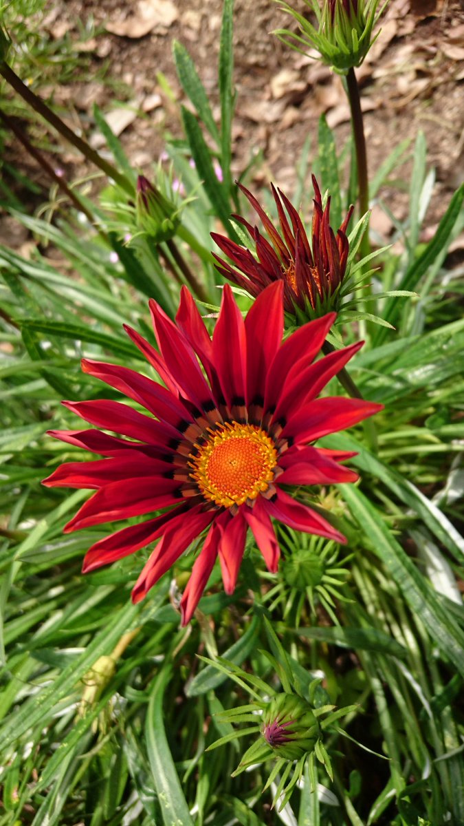 Home Use Night Mode Notifications Notification Sound My Profile Show Profile Account Setting Sub Users Personal Account Business Account Show Me Online Delete History Expose Author Name Cross Video Days Cyhg Fjgm Fhaz Xtoo Kxhr Wobf Ucky Xxkp