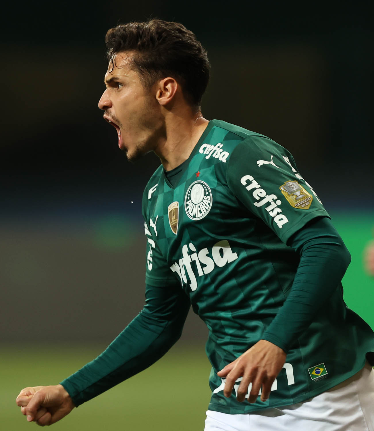 Brasileirão: Raphael Veiga brilha em cobrança de falta e Palmeiras vence  Vasco - O Mariliense