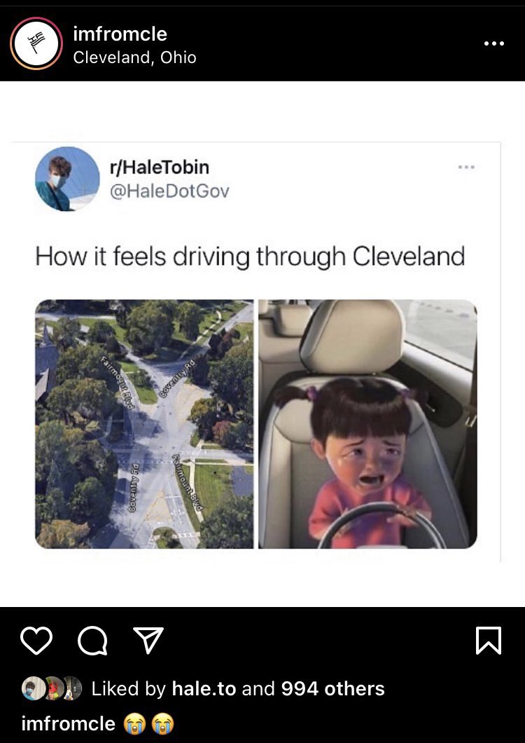 hale after dark tweet media