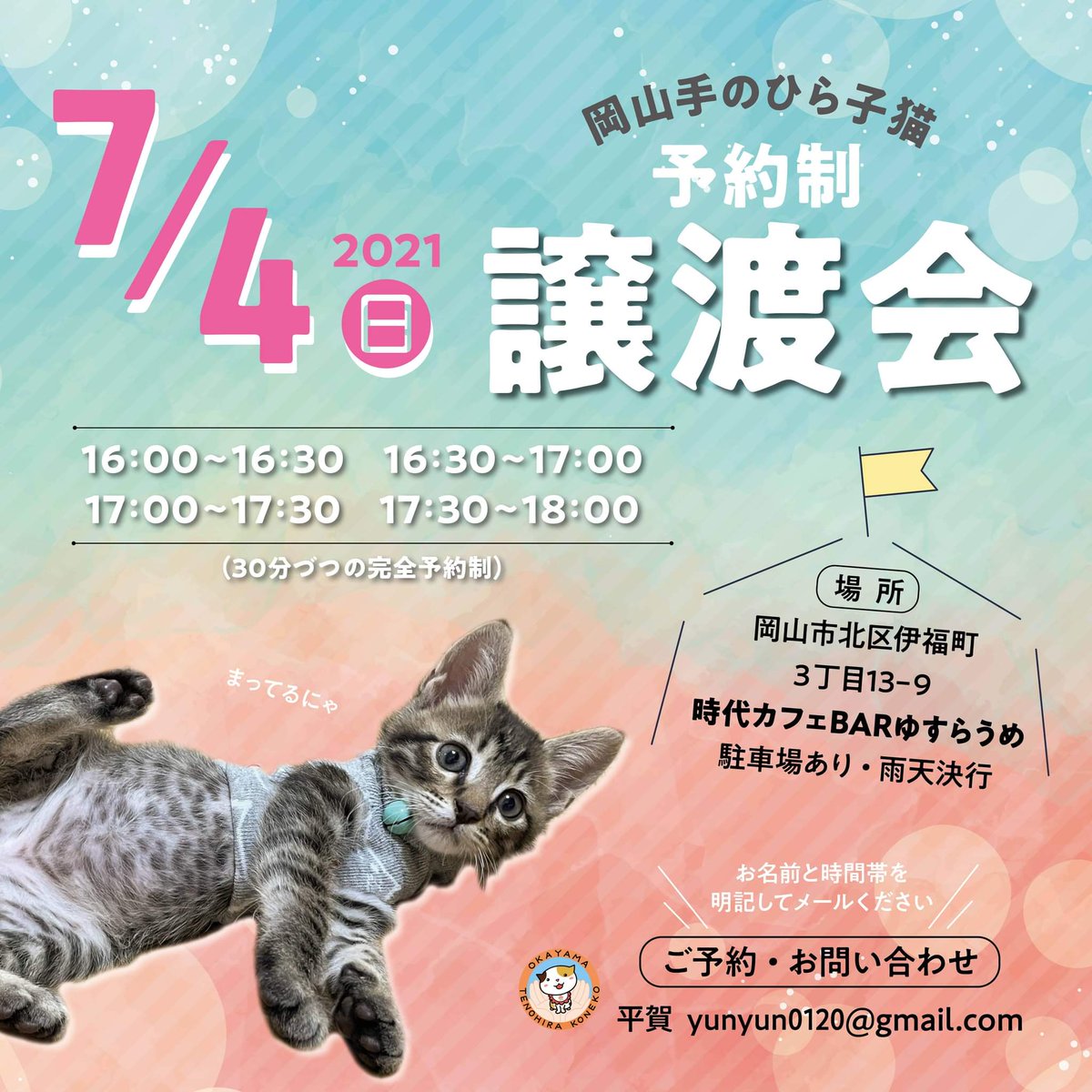 ゆすらうめ 次の日曜日に子猫の譲渡会を致します 周りの方にも是非お伝え下さいね こねこ 保護猫 譲渡会 岡山 ゆすらうめ 次の日曜日に子猫の譲渡会を致します 周りの方にも是非お伝え下さいね こねこ 保護猫 譲渡会 岡山