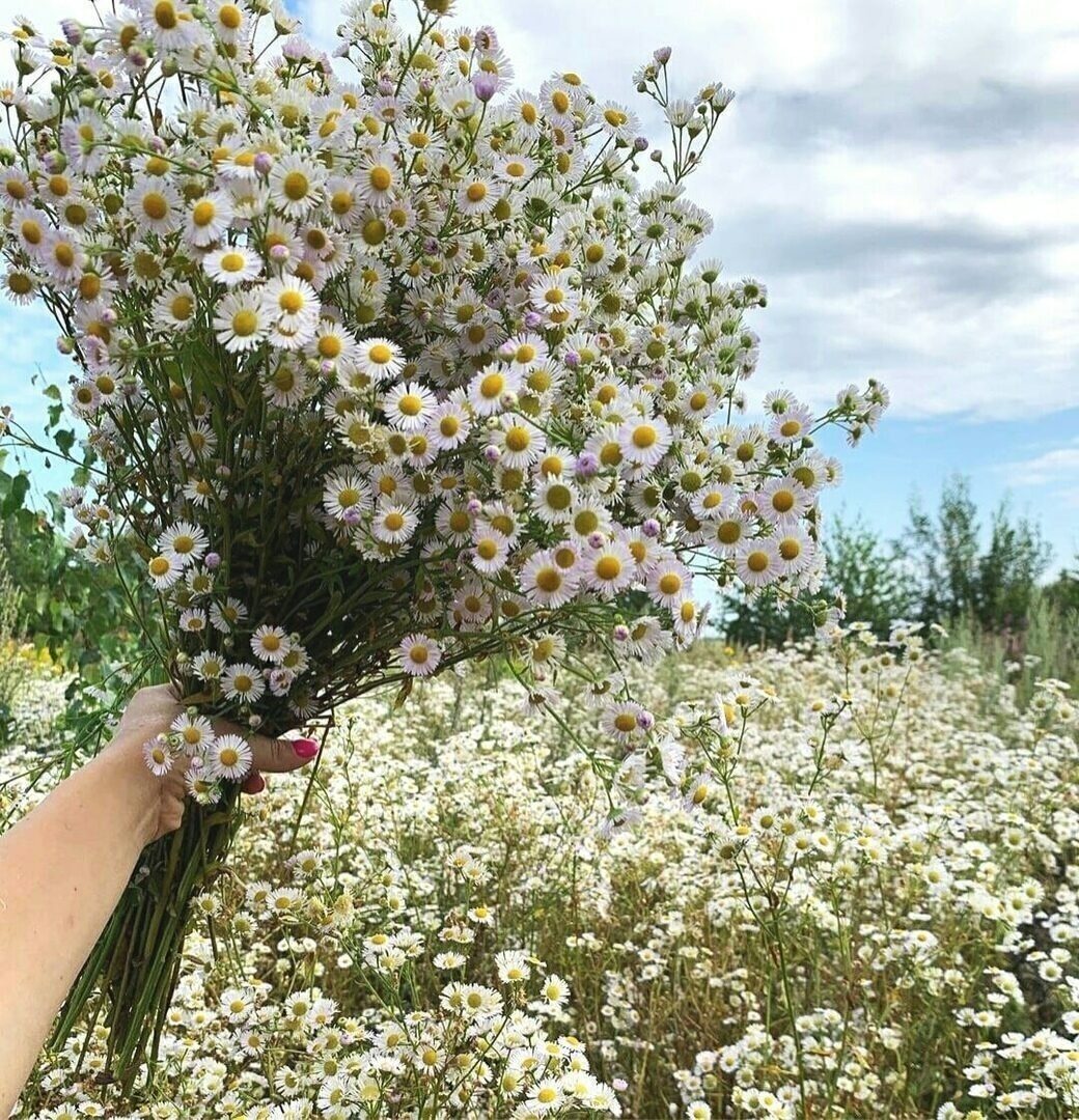 И не важно,  с какой ноги вы встаёте.
Важно,  с каким настроением вы входите в новый день!
Пусть оно будет отличным!