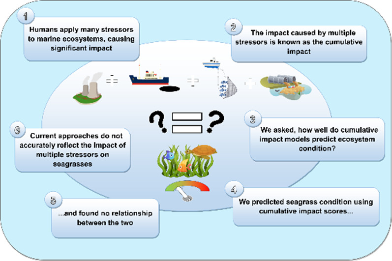 A popular cumulative impact assessment does not predict seagrass condition - interesting study presented at #AMSA21 by @jackson_stock 
sciencedirect.com/science/articl…