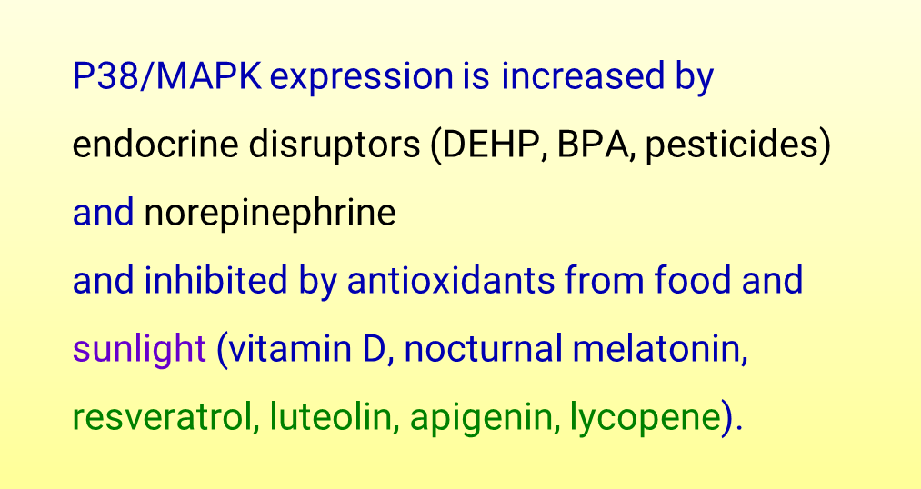 SilkeLeFay's tweet photo. #dementia #Parkinsons #agedcare #ClosingTheGap #longCOVID #SarsCov2 #microbiome #microglia #neuoscience #diabetes #kidneydisease #nutrition #publichealth #machinelearning #NCDs #CKD
Measuring endocrine disruptor metabolites
Measuring serum antioxidants
Access to healthy meals
. https://t.co/tKlX9NJlis