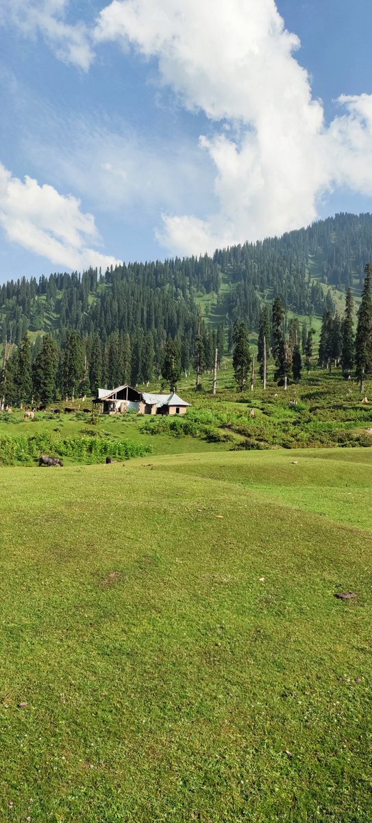 Shakil_kas's tweet photo. An Unexplored Paths Lead to the Undiscovered Treasures...
#PanchanPathri in District Kulgam. https://t.co/WoeSo8GzCJ