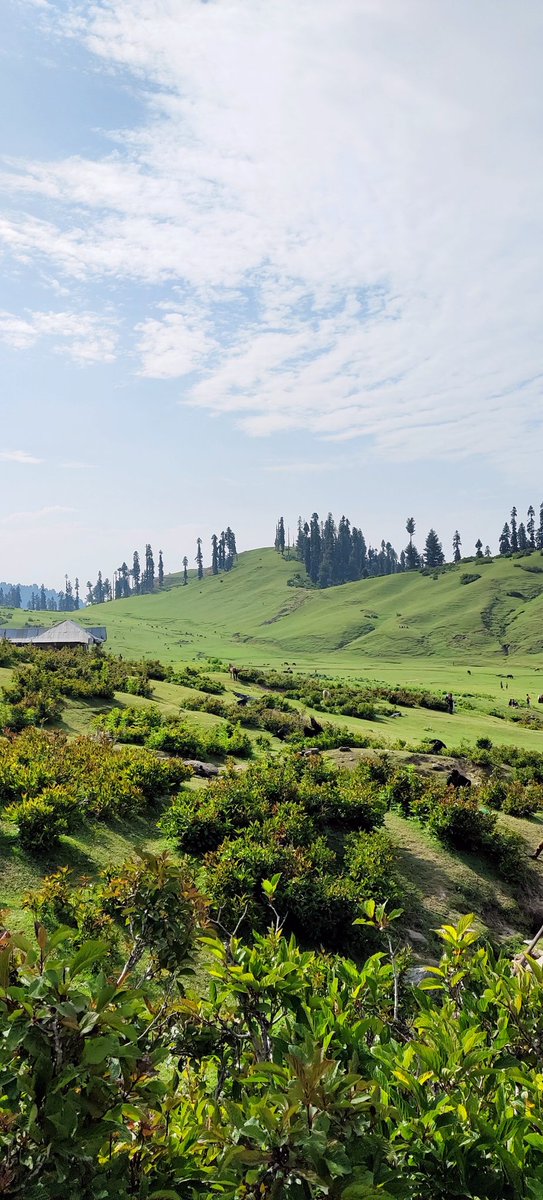 Shakil_kas's tweet photo. An Unexplored Paths Lead to the Undiscovered Treasures...
#PanchanPathri in District Kulgam. https://t.co/WoeSo8GzCJ