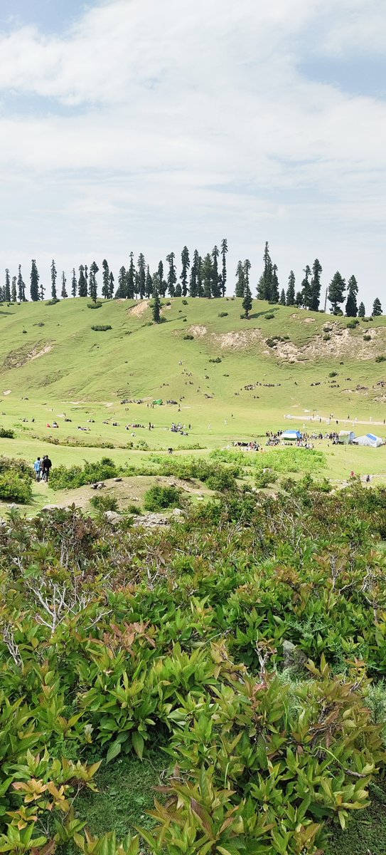 Shakil_kas's tweet photo. An Unexplored Paths Lead to the Undiscovered Treasures...
#PanchanPathri in District Kulgam. https://t.co/WoeSo8GzCJ