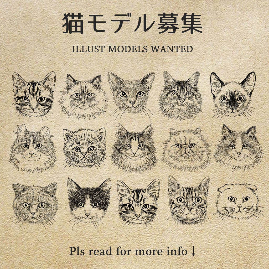 Twitter 上的 猫イラストレーター 365cat Art インスタで猫モデル募集してます 365catart T Co Hatff5slqe 猫似顔絵 猫の似顔絵 猫の絵 猫イラスト 猫のイラスト ねこのイラスト ねこイラスト 猫好きさんと繋がりたい 猫イラストレーター おしゃれ