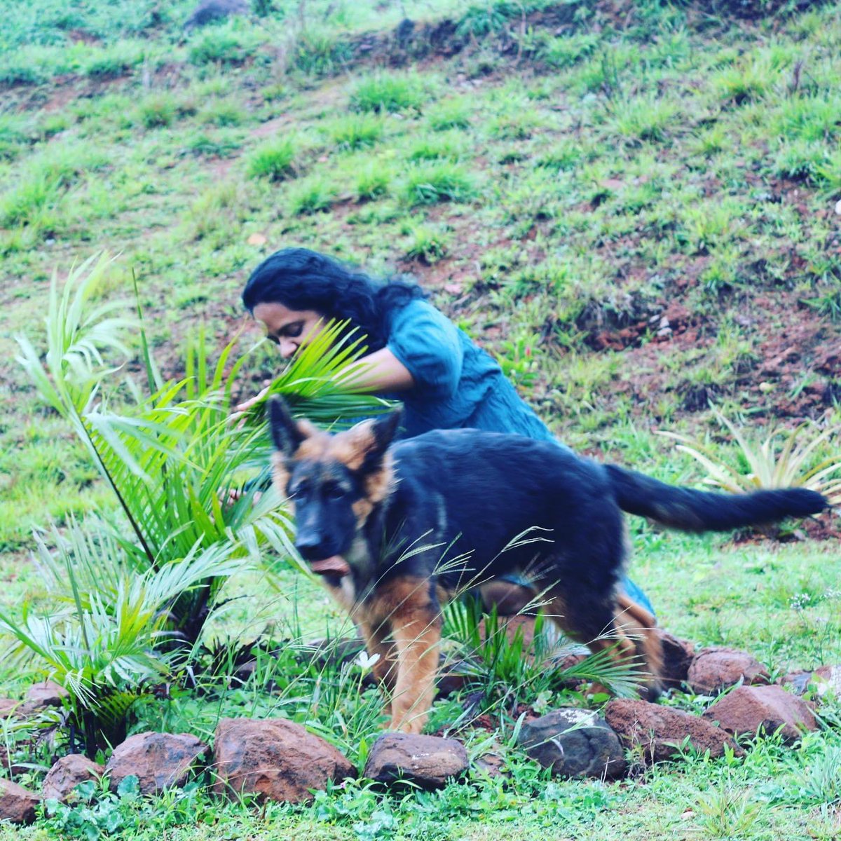 NVijayalatha's tweet photo. When your pet helps in fencing the young plants
.
.
.
.
#petslove #petslover #petsofinsta #petsvideo #plantsandpets #plantsmakepeoplehappy #plantslover https://t.co/Kbx21R7XbY