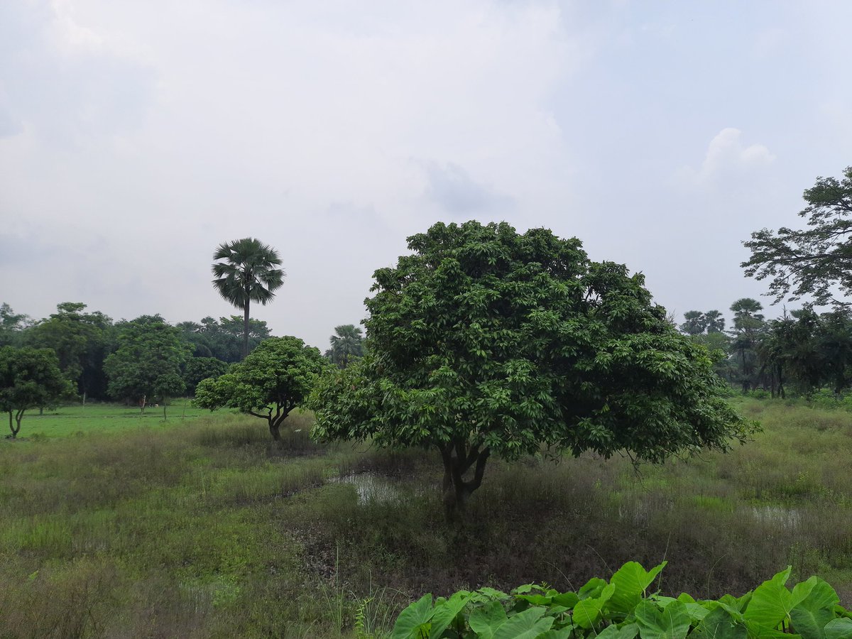 RealReyoc's tweet photo. Plot On Sale at Low Cost https://t.co/ne9VxS7EVf