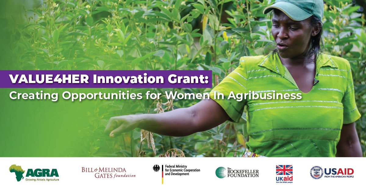 AGRA_Africa's tweet image. The overall goal of the #VALUE4HER Innovation Grant is to create market opportunities that serve women in all tiers of agribusiness. 

Submit your proposal here bit.ly/35wBChG before 17 July for the chance to receive up to USD 9,000 to boost your business.
