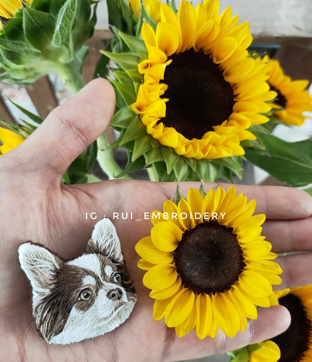 EmbroideryRui's tweet photo. จิ๋วทั้งพี่ชานอ้อยทั้งดอกทานตะวัน 💖
#ruiembroidery #dogembroidery https://t.co/Tf2nI56s9B