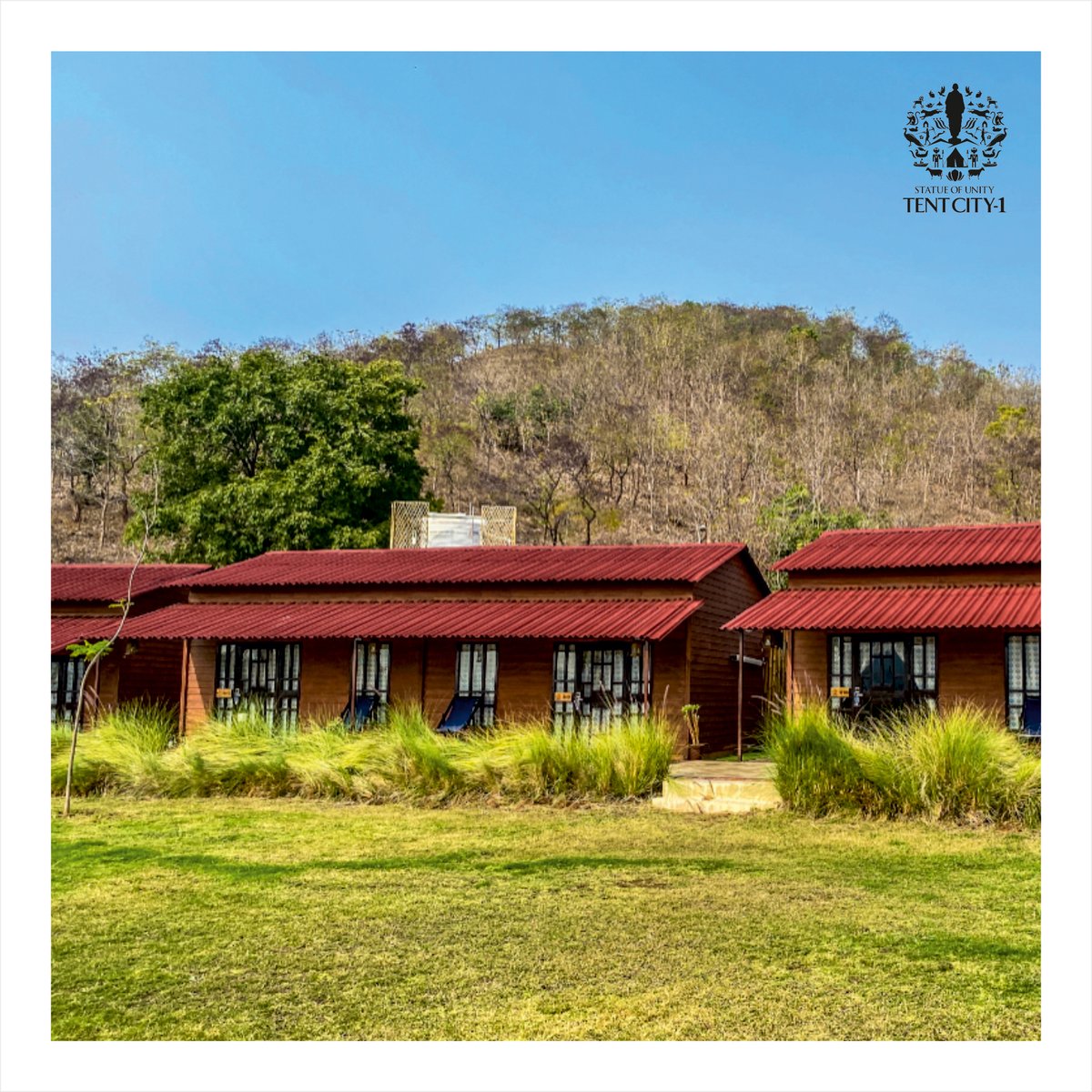 SOUTentCity's tweet photo. Imagine! You are having a good time with your loved one, embracing all shades of nature and little moments of affection.
Visit https://t.co/EIlmLC2CFo to know more.
#NaturePhotography #view #statueofunitytentcity1 #myunitymoment #Monsoon2021 #luxurytravel #DekhoApnaDesh https://t.co/NlJBus7ISe