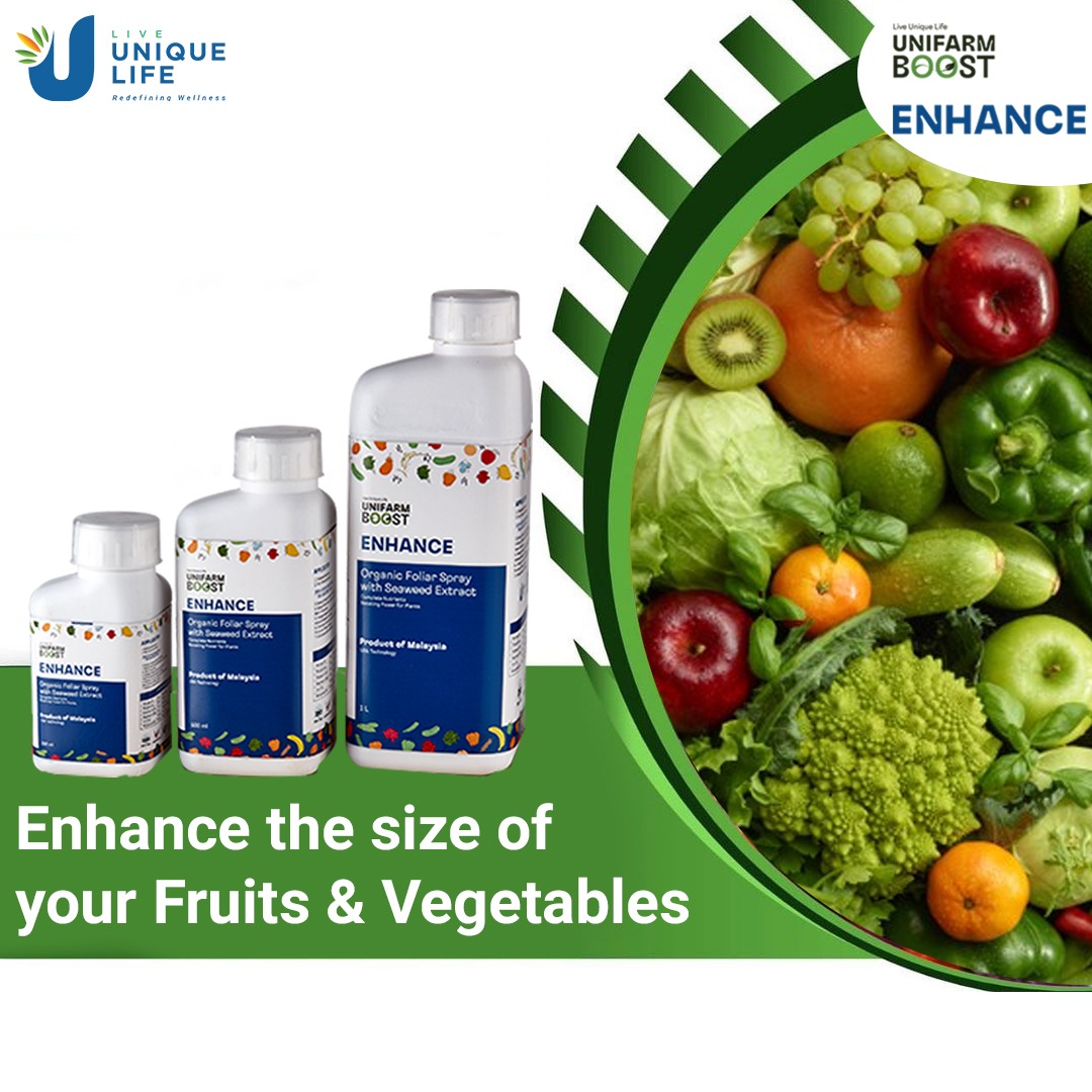 LiveUniqueLife's tweet photo. Unifarm Enhance results in healthier plants, early development & growth of flowers, vegetables & fruits.
#LiveUniqueLife #farming #farminglife #decodingnutrition #garden #gardening #boostyourfarm #TraditionalFarming #farm #farmers #enterpreneur #crops #soil #pest #unifarmboost https://t.co/1lqTfzjNGj