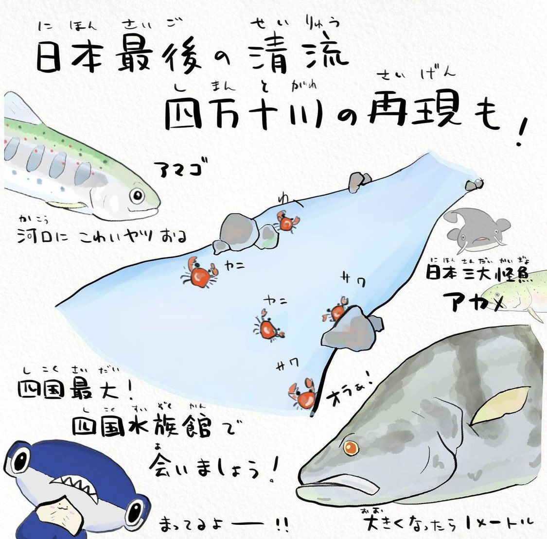 嬉しい発表です 四国水族館 ウォイ図鑑 この夏コラボが決定しま さかなのおにいさん かわちゃん の漫画 嬉しい発表です 四国水族館 ウォイ図鑑 この夏コラボが決定しま さかなのおにいさん かわちゃん の漫画