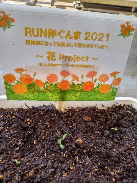 群馬医療福祉大学 Gunma Iryou Twitter 群馬医療福祉大学 Gunma Iryou Twitter