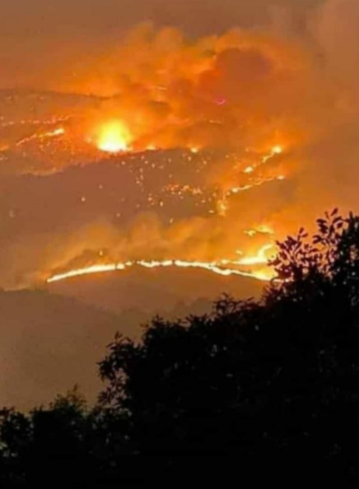 KulturMg's tweet photo. #BingoelYanıyor 
Bingöl’ün  Genç İlçesinde  durum kötüye gidiyor.
Sabah saatlerinde kısmen kontrol altına alınan yangın rüzgarın etkisiyle tekrar hızlandı!
Muğla’daki yangın 10 helikopterle kısa bir sürede kontrol altına alındı.

Acil müdahele gerek! https://t.co/69AZFFLZHY