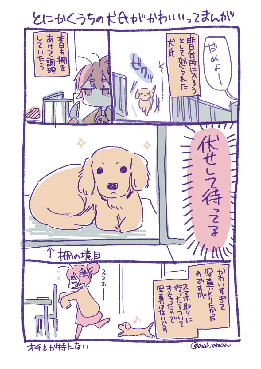 うちのいぬがかしこかわいい 