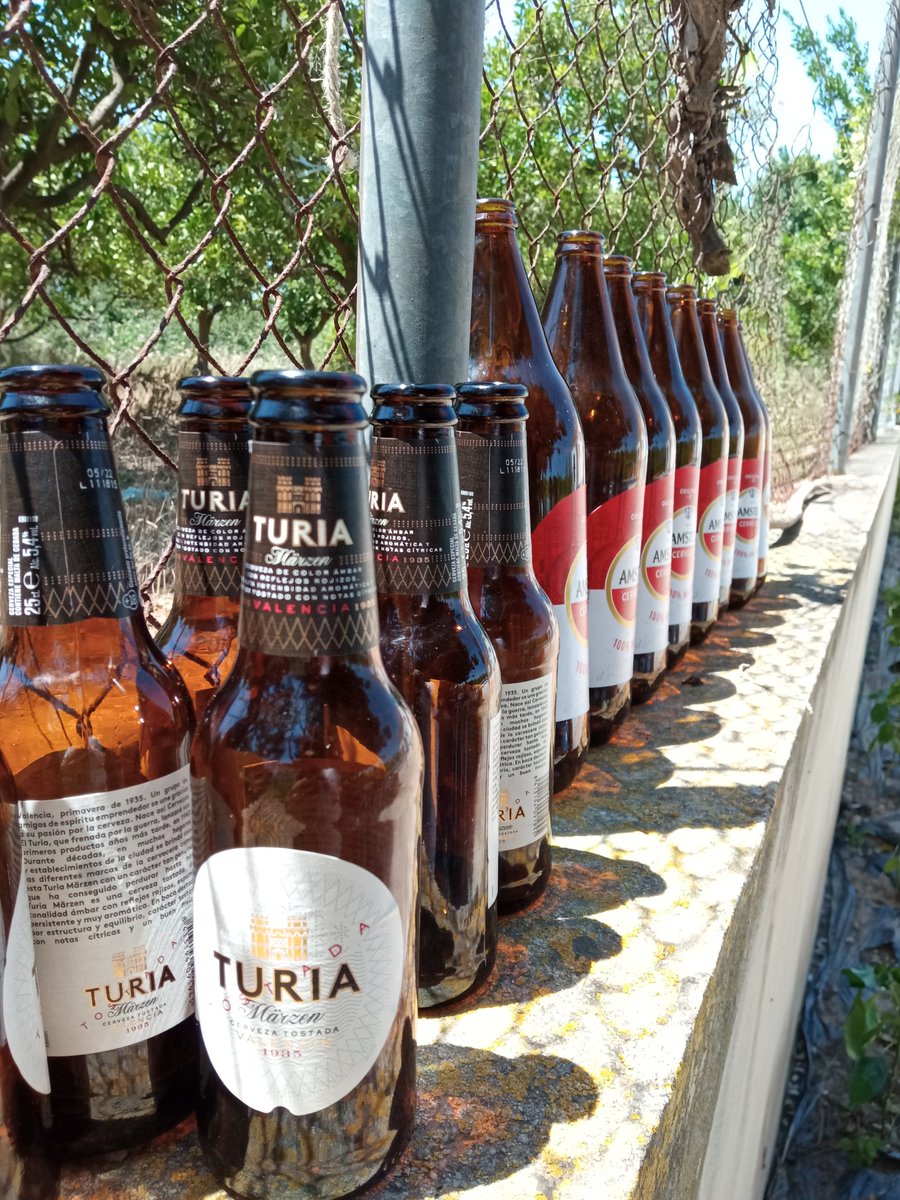 paellapatrimoni's tweet photo. Ahir era #diumenge #comboi #Fideuà #Campanus #terreta @AnisCervero @CervezaTuria @69brosses https://t.co/SA1zYpEZui