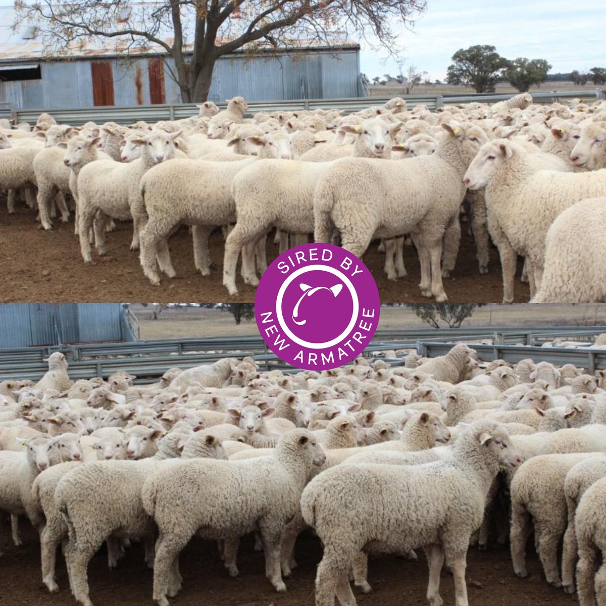 Jenny Bradley tweet media