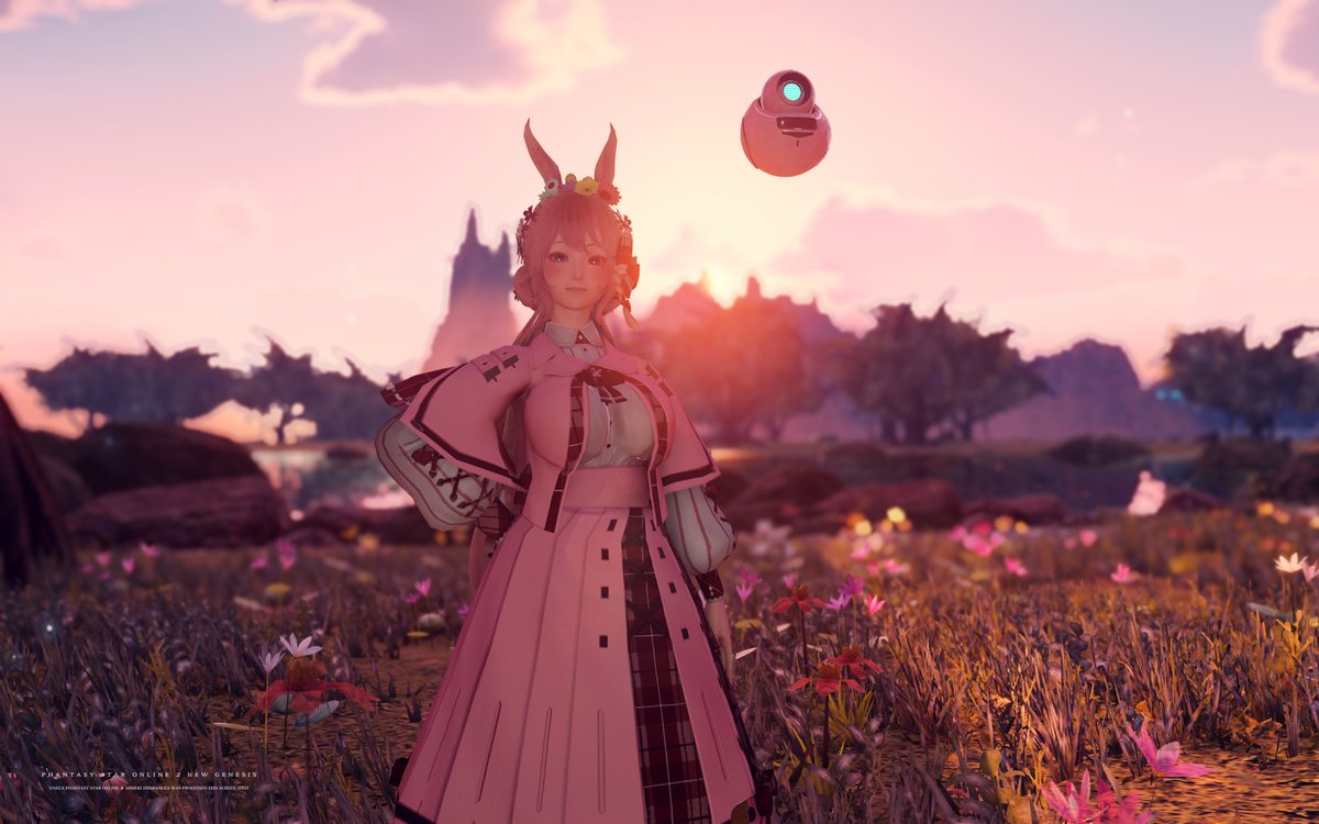 Himeki Hydrangea 逆光と木陰ﾃｽﾄ Via Photoshop Pso2ngs