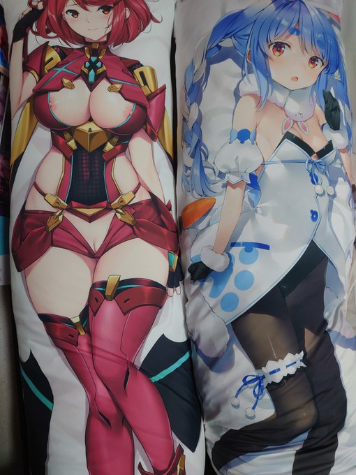 突然自宅に押しかけてきて、例の友人が半ば強引に兎田ペコラちゃんの抱き枕カバーを押し付けて帰っていった。

保存用に購入したという公式販売の誕生日記念カバーらしい。
「一晩抱いて寝ればファンになるよ!」

こんなものを貰ってもファンにはならないペコ‥。 でも可愛い。 隣は嫁のホムラさん 