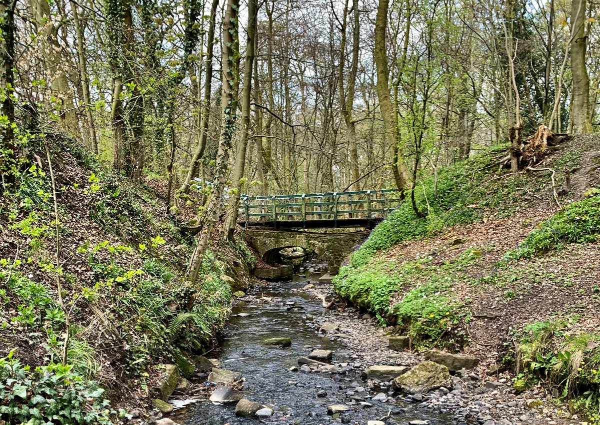 Friends of Chorley Great Wood tweet media
