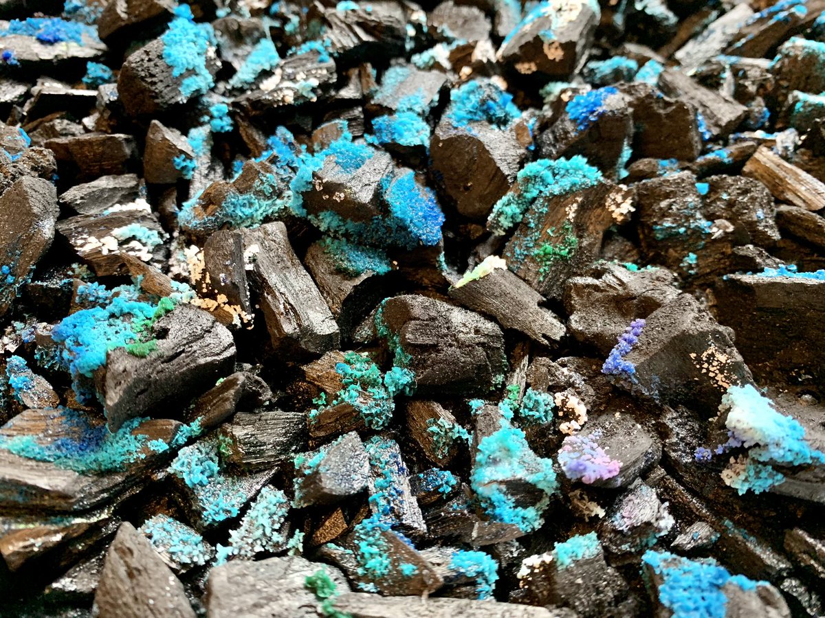 AstroLizsLab's tweet photo. Checking my #crystal growth from the first 24 hours and it’s working really well! Yesterday’s #experiment used ammonia, bluing, salt and charcoal to form these awesome crystals! I can’t wait to see what they look like tomorrow! 💎 #astroliz #astrolizslab #femmesinstem #stemette https://t.co/UI7f149zs1