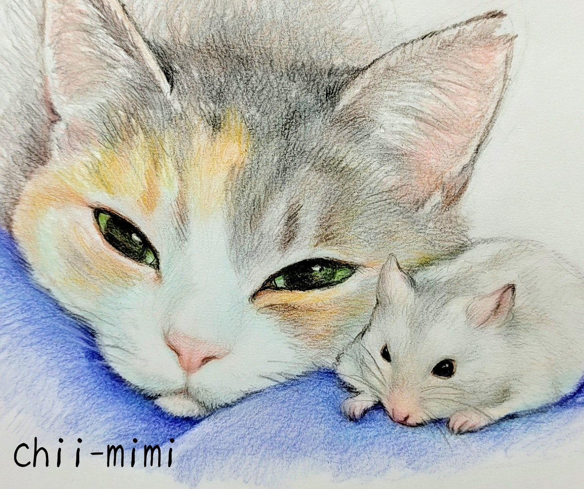 Twoucan ハムスター好き の注目ツイート イラスト マンガ