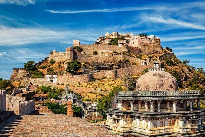 Flamingo Transworld tweet media