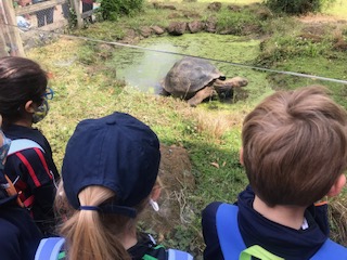 NorfolkHouseSch's tweet photo. What great day we had at London Zoo last week! #nhsucceed https://t.co/8P9F49r2oY