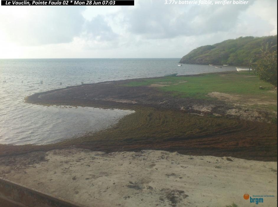 SargaMonitoring's tweet photo. 28/06/2021 #pointefaula #levauclin #martinique #antilles #caraibes
Pictures of the day on our 2021 map, and much more on our website: https://t.co/wpro2wlTHk
#sargassum #sargasses #sargazo #climatechange #pollution #GlobalWarming #ocean #coastalmonitoring https://t.co/ayjgnNzLXn