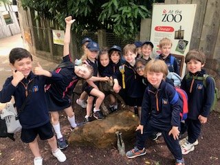 NorfolkHouseSch's tweet photo. What a great day we had at London Zoo last week! #nhsucceed https://t.co/oOToEgArfx