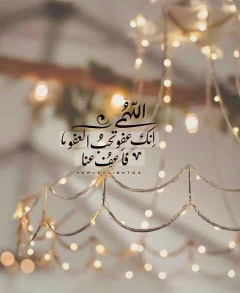 💫خالد بن الوليد💫 tweet media