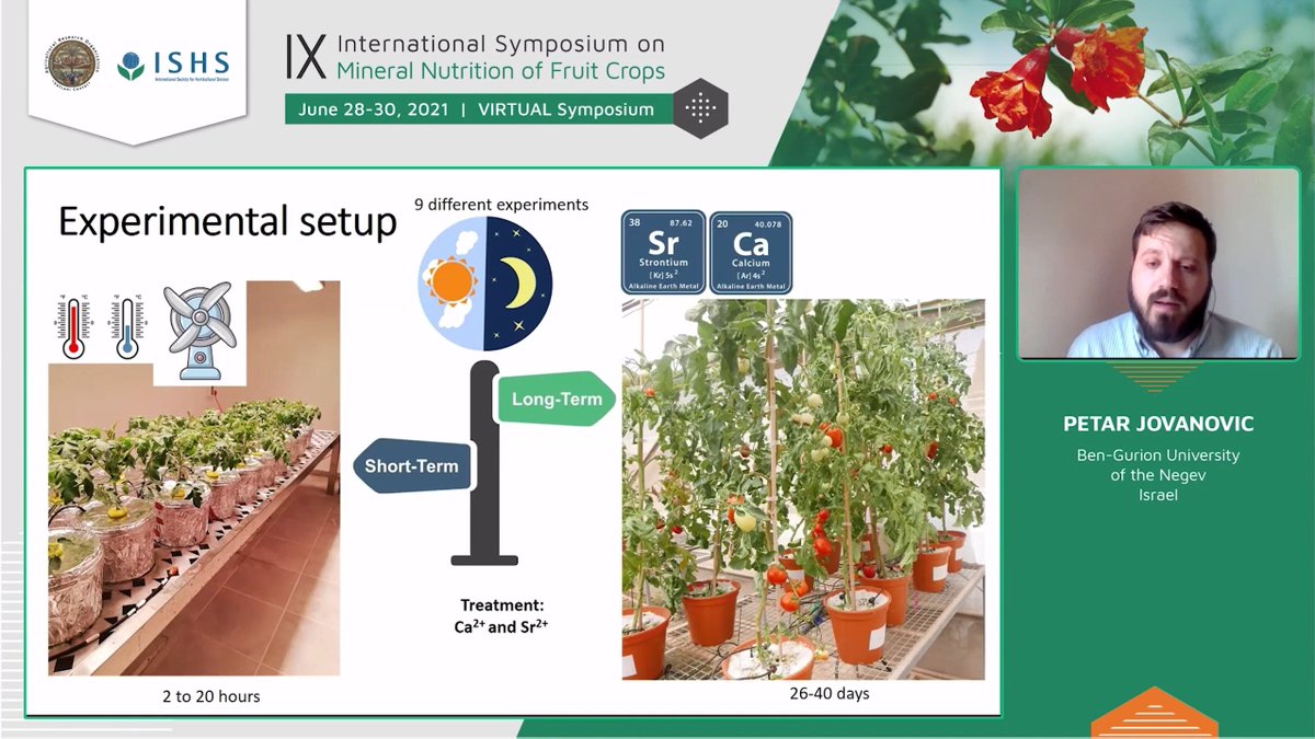 Petar presented today a part of his Ph.D. work at the International Symposium on Mineral Nutrition of Fruit Crops- ortra.com/events/mnutrit…
He gave a talk about:  "Night brought to light" - Daily calcium homeostasis in fruits during stress.

Great work, Petar! keep it up