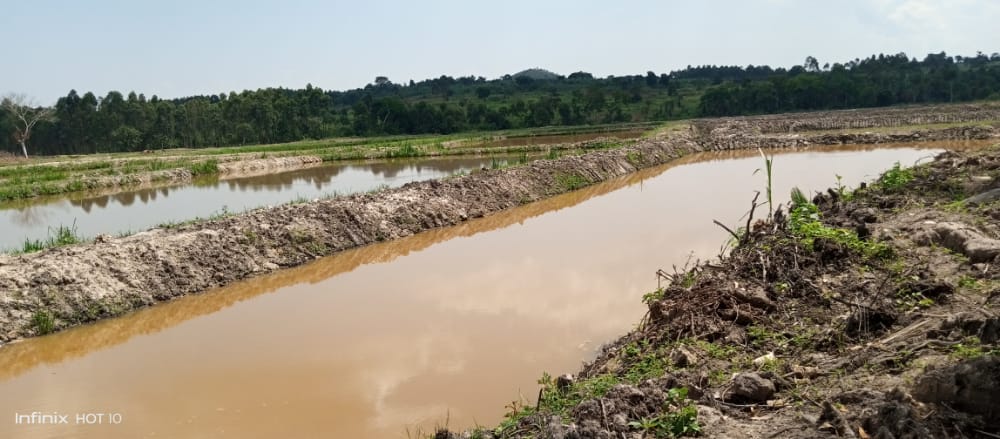 Dr_JibCares's tweet photo. Promoting #Aquaculture is our #8th goal, below are some of our #Aquaparks established #Kyiryabishoro (Ibanda) & #Butembe (Busoga) Aquaparks. We identify water ponds, modernize them, donate 🎏 🎏& gazzete them for farmers to utilize.
Thank you @MAAIF_Uganda @OWC_ug @mtni_ug 🌳🌳 https://t.co/mABjic9B2p