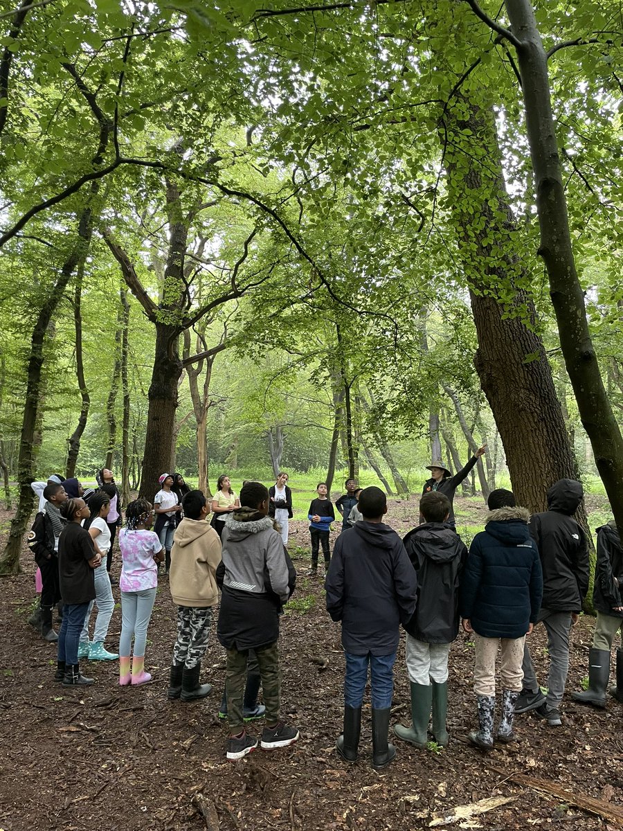 Year 6 Residential has started! Everyone is enjoying exploring the forest and are being at one with nature! <a href="/woodberrydownN4/">Woodberry Down</a> @SuntrapCentre #Year6