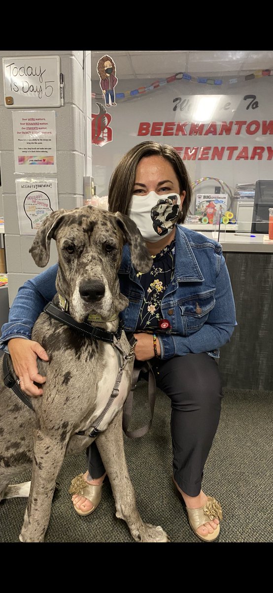 So thankful Laci Mae was able to join my building for a few hours the end of this school year! Thank you <a href="/RayleGoy/">Gayle Roy</a> for sharing her! The kids &amp; I had a blast with your sweet girl ❤️#BCSDEaglepride <a href="/BeekmantownCSD/">Beekmantown CSD</a>