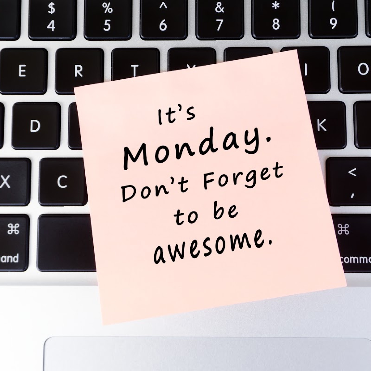 PurdueFWCOAS's tweet photo. Happy Monday!  There are no events on campus today.  Make the most of the week! https://t.co/rrGsKZC7Wp