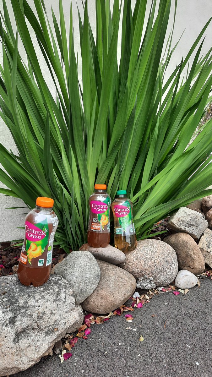 lisatesteuse's tweet photo. Test avec le site Nestlé Croquons La Vie : Contrex green. Boissons certifiées bio et aromatisées, (différentes saveurs),  à base d'eau minérale naturelle, sans conservateur et sans colorant, faible en sucre, composées d'arômes naturels.  #ContrexGreenInfusionBio #ContrexGreen https://t.co/QCH3eKWLW2