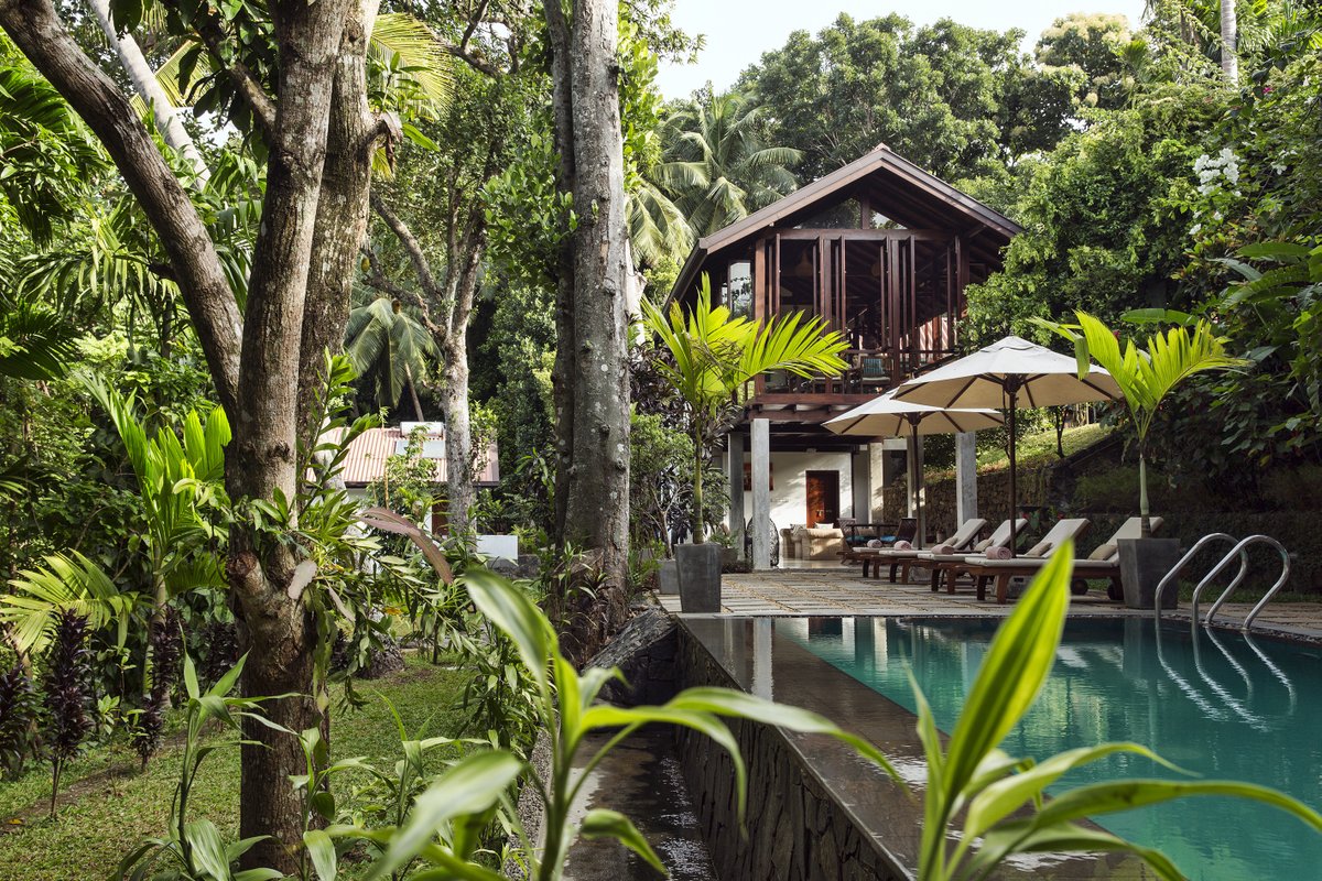 andbeyondtravel's tweet photo. Meander around the gardens of @RosythEstate , a 1926 colonial planter's bungalow, and see the flutter of colourful birdlife perching on leafy trees. #andbeyondtravel #srilanka #preferredpartners #naturalluxury #rosythestate https://t.co/zhO5azSfZJ