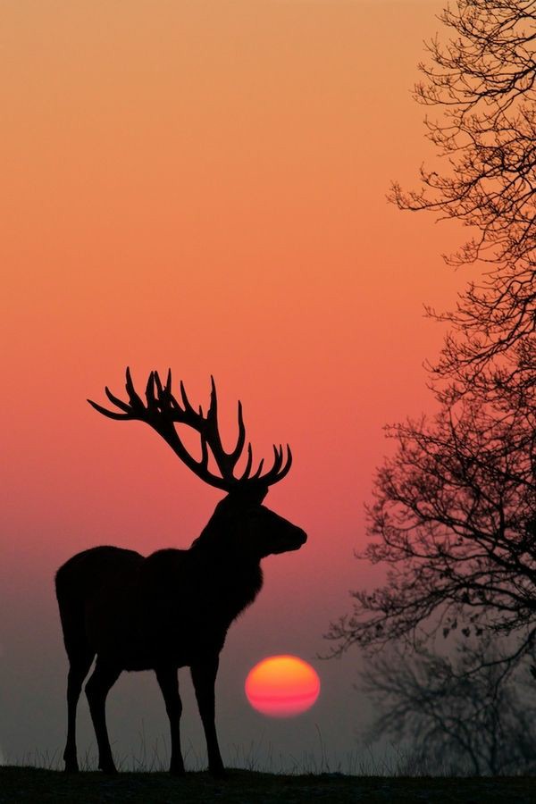 Beauty Of Nature🍀🐞🌲 tweet media