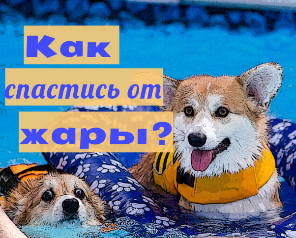 corgitxyz's tweet photo. #CorgITxyz #лайфхаки #лето #жара #жиза #работа #полезныесоветы Летние лайфхаки на каждый день: как спастись от жары https://t.co/yvI3UmN4xd https://t.co/lC9tSCwgdP