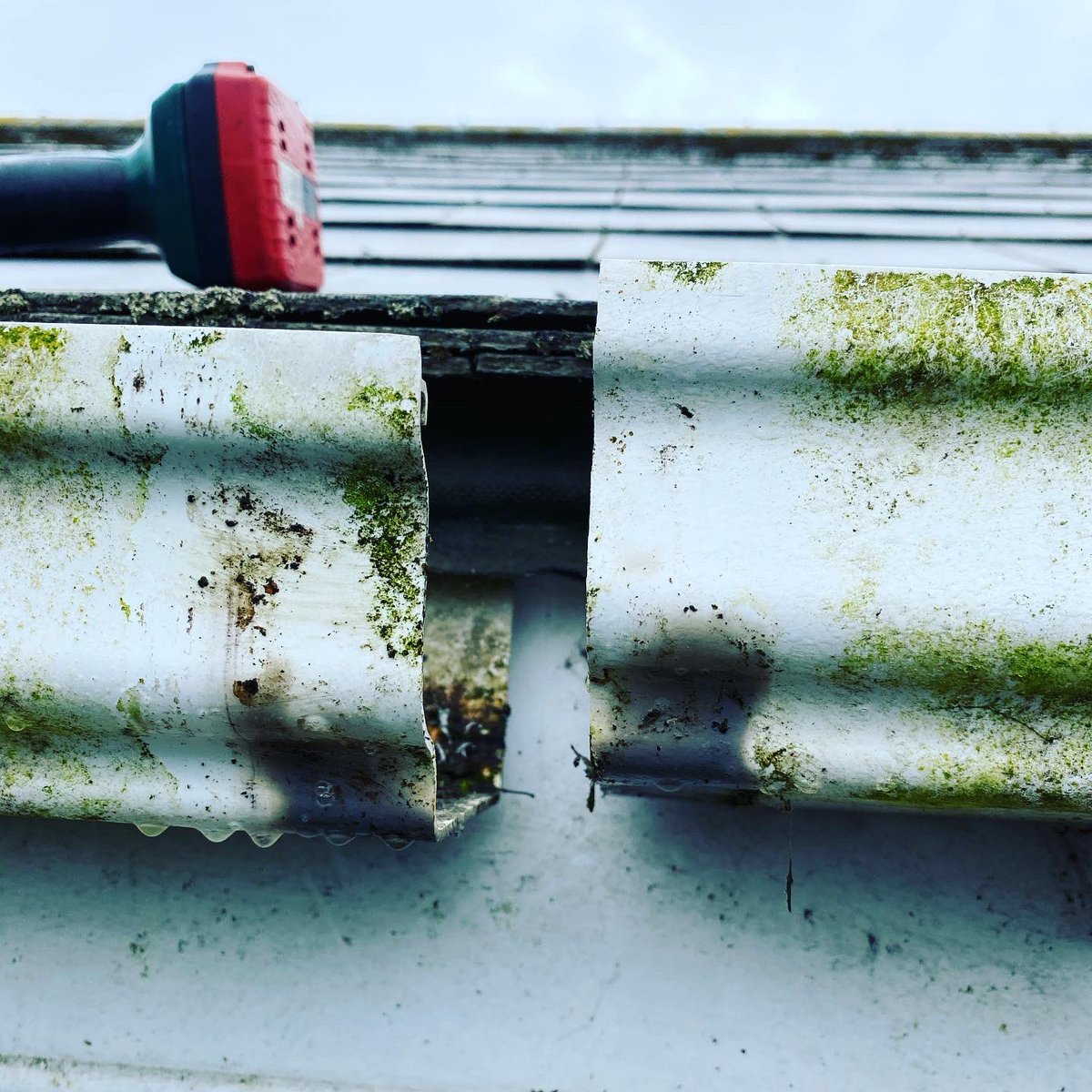 MudderGutters's tweet photo. #gutterrepairs is what #teamtmg do best 
.
A weekend full or #gutterclearing and #guttercleaning with some #waterfedpole #windowcleaning 
.
DM our #team TMG for your #freegutterinspection 📲☎️or #calltextwhatsapp0858728177 
#bestinmeath #guttersucker #4kguttercam https://t.co/3DPLvFH5g2