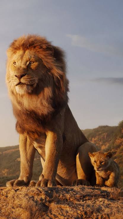 Shaban51454342's tweet photo. #HappyBirthdayElonMusk The Real Lion King @elonmusk https://t.co/3l6Wbj6elF