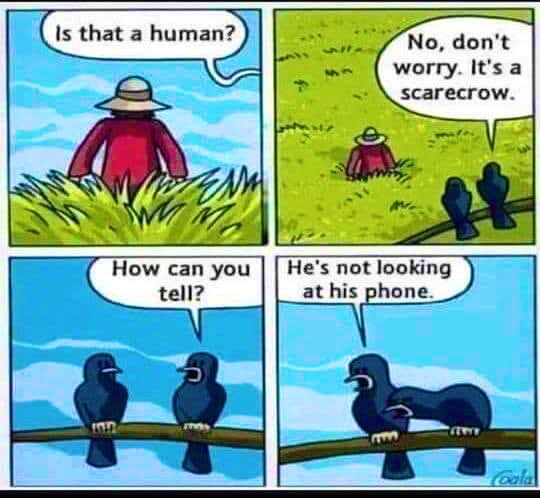 MonaPatelT's tweet photo. 😂😂 #Birds observation 👏👏 
#indiAves https://t.co/A4YX4dGZLg