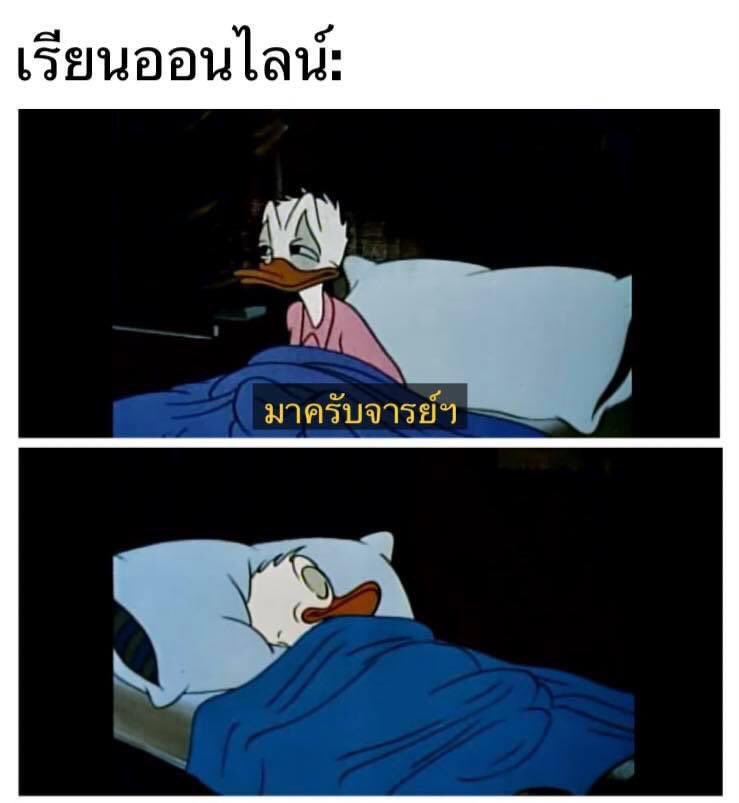 กุแลัวหนึ่งที่เป็นแบบนี้