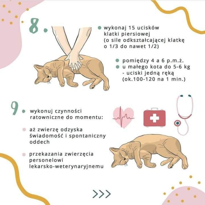 cholewajasna's tweet image. rt