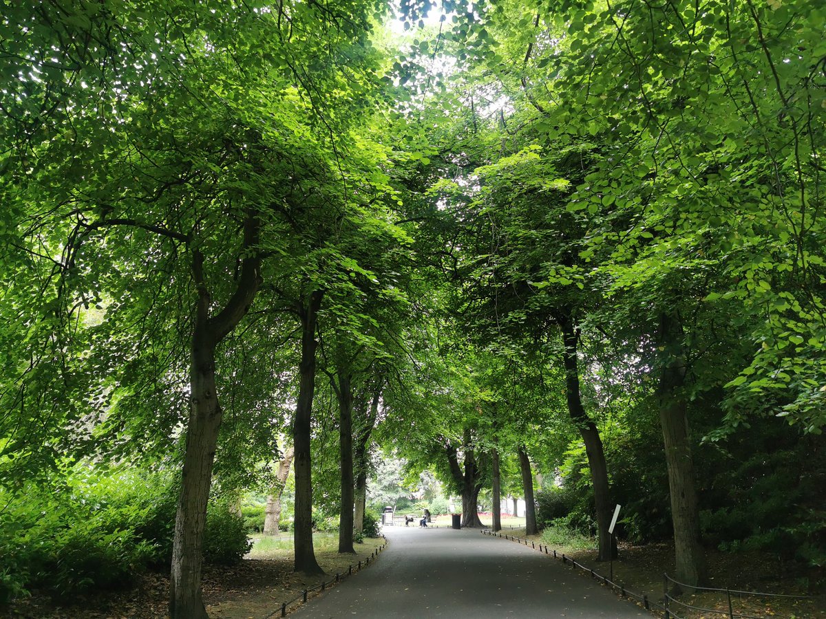 Green green Stephen's Green #200crew