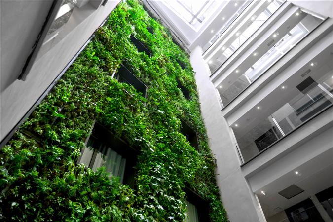 <a href="/verdtical/">Verdtical</a> crea els jardins verticals intel·ligents 🌳🌱 bit.ly/3dmwd0T